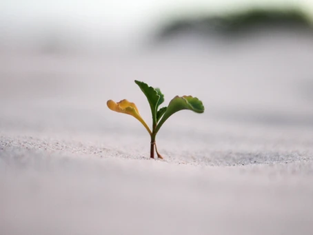 Thoughts on Growth